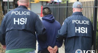 조지아, 불법체류자 전국 6위…5년 새 45% 급증