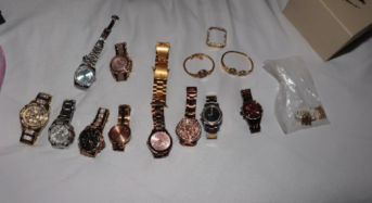 [속보] 아시안 주민 겨냥 절도단 덜미 잡혔다