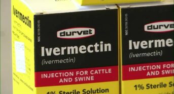 조지아 주민들, 백신 대신 구충제 찾는다