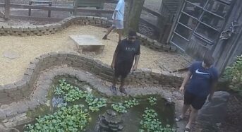 [속보] 도난 상자거북 5마리 무사히 귀환