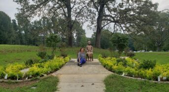 [포토뉴스] 평화의 소녀상 “가을단장 했어요”