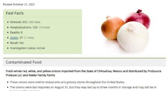 조지아 포함 37개주, 양파 식중독 비상