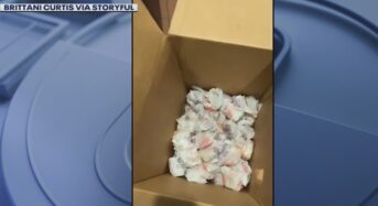 맥도날드에 7천불 어치 주문하면 벌어지는 일