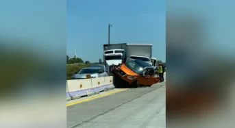 [영상] I-85 고속도로서 조랑말 질주 ‘7중 추돌’