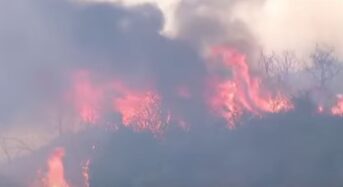 “모든 게 불타고 있다”…’생지옥’ 불길에 LA 경악