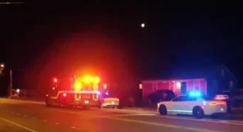 기르던 개가 방아쇠 당겨 총 맞은 남성