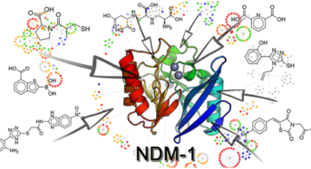 항생제 듣지 않는 ‘악몽의 박테리아’ 급증