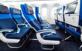 “여객기 좌석에서 빈대 발견”…항공사에 20만불 소송