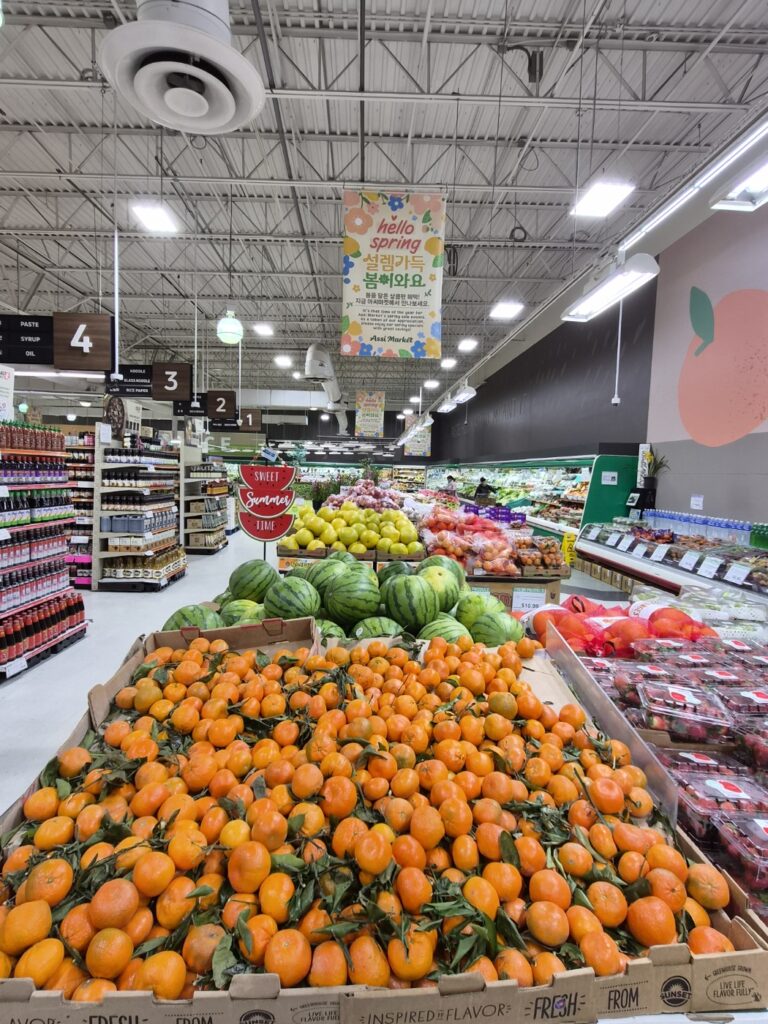 KakaoTalk_20260305_084925617