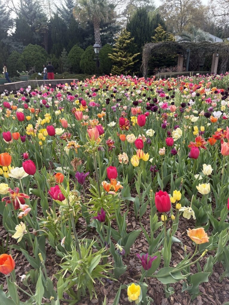 photo_2026-03-26_20-33-07