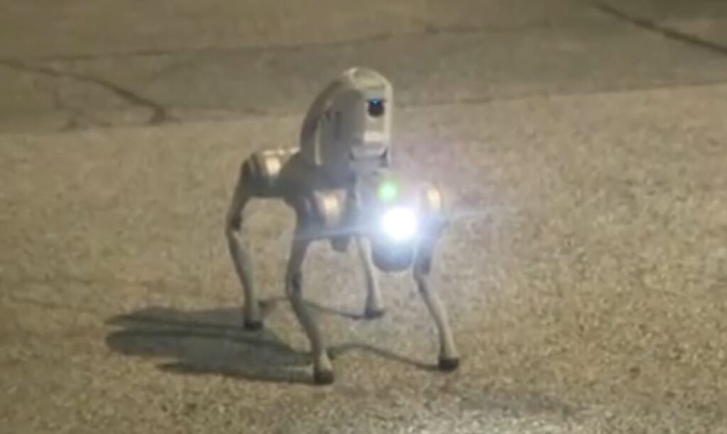 robotdog