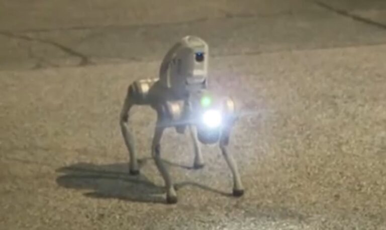robotdog