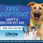 4113ll-adopt-a-shelter-pet26-SMPs_f-520x400-1-1