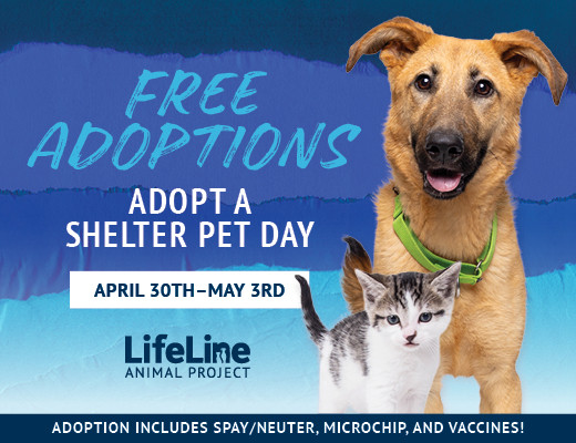 4113ll-adopt-a-shelter-pet26-SMPs_f-520x400-1-1