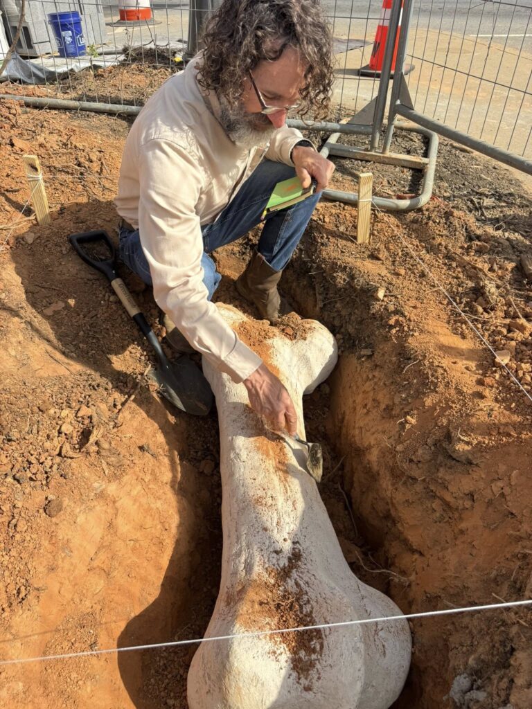 658930967_954897034137844_3292355745543400798_n