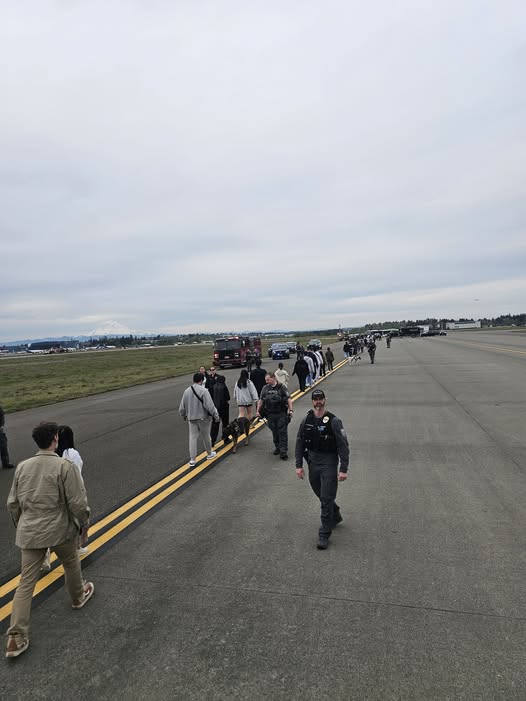 674434533_10242505346994058_5224899732880072800_n