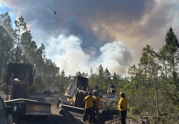 680240073_1423958199756232_6831149188504315001_n