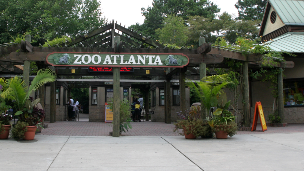 zoo