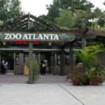zoo